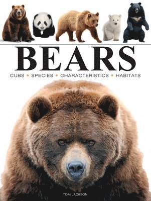 Tom Jackson - Bears, Häftad