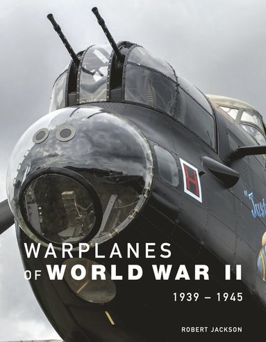 bokomslag Warplanes of World War II