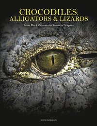 bokomslag Crocodiles, Alligators & Lizards