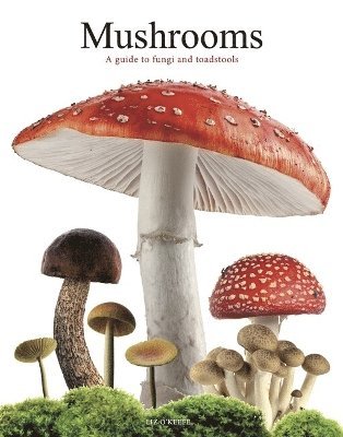 Liz O'Keefe - Mushrooms, Häftad. Tillgänglighet: Lägg i varukorg