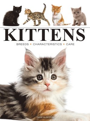 David Alderton - Kittens, Häftad