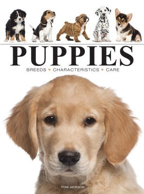 Tom Jackson - Puppies, Häftad
