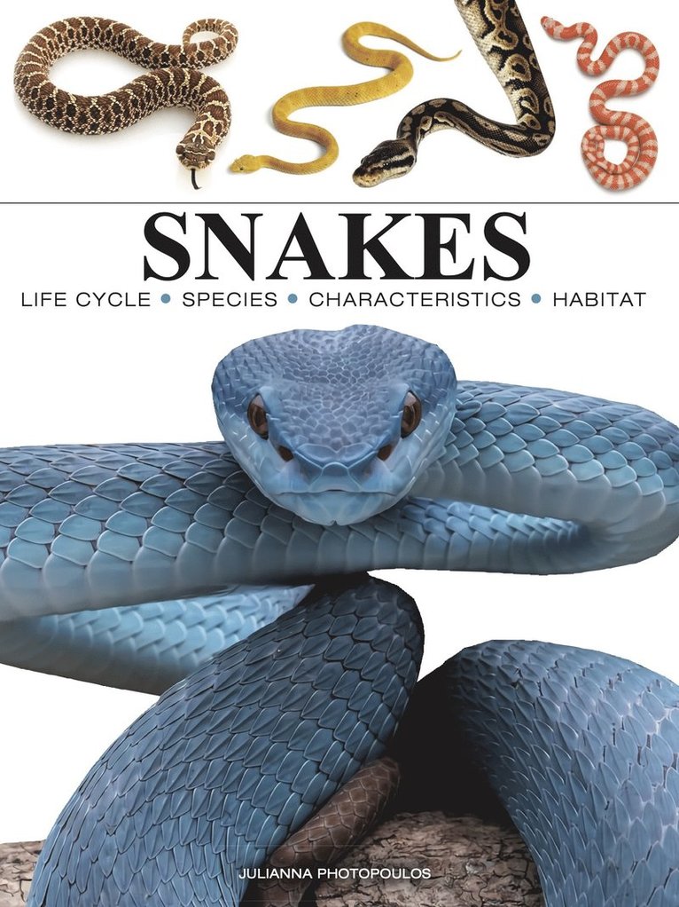 Snakes 1