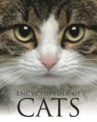 bokomslag Encyclopedia of Cats