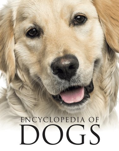 Tom Jackson - Encyclopedia of Dogs, Häftad