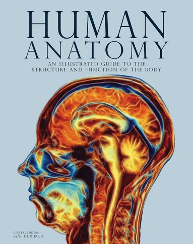 Jane de Burgh - Human Anatomy, Inbunden