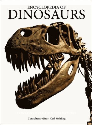 bokomslag Encyclopedia of Dinosaurs