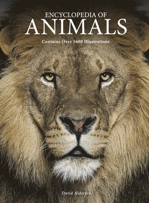 bokomslag Encyclopedia of Animals
