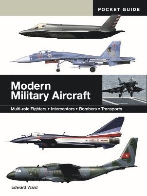 Modern Military Aircraft 1