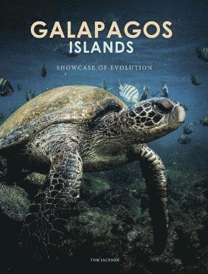 Galapagos Islands 1