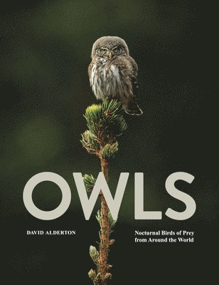 David Alderton - Owls, Inbunden