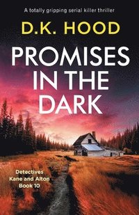 bokomslag Promises in the Dark