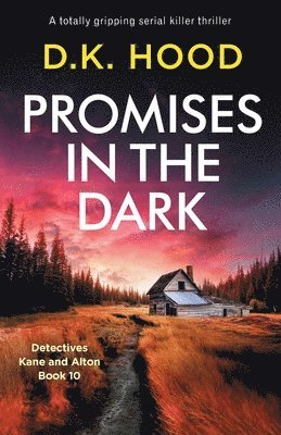 D K Hood - Promises in the Dark, Häftad