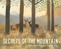 bokomslag Secrets of the Mountain