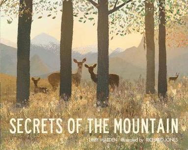 bokomslag Secrets of the Mountain