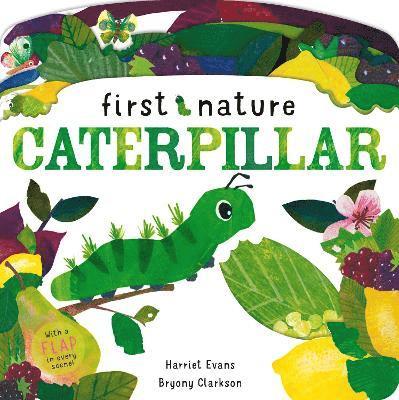 Caterpillar 1