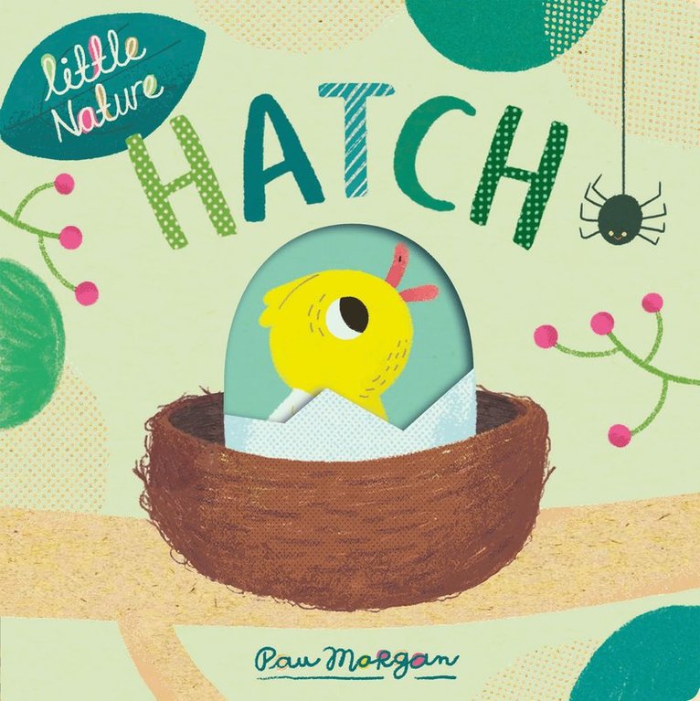 Isabel Otter, Pau Morgan - Hatch, Kartonnage