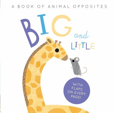 Harriet Evans, Linda Tordoff - Big and Little, Kartonnage