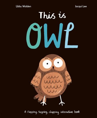 Libby Walden - This Is Owl, Kartonnage