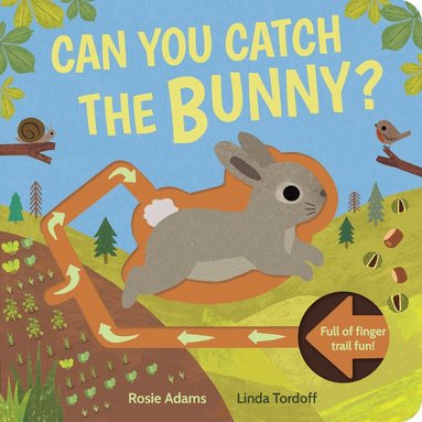 Rosie Adams, Linda Tordoff - Can You Catch the Bunny?, Kartonnage