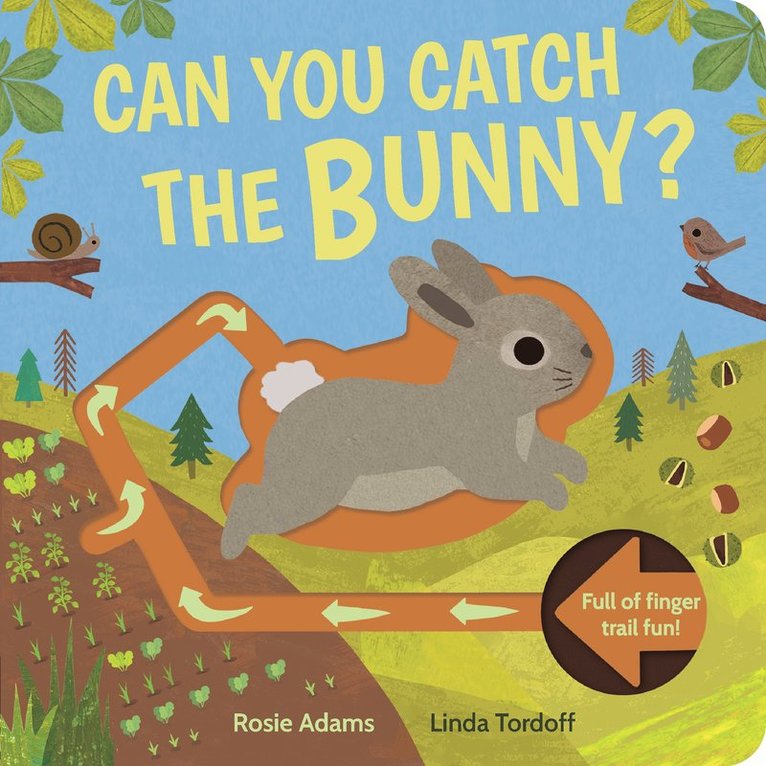 Rosie Adams, Linda Tordoff - Can You Catch the Bunny?, Kartonnage