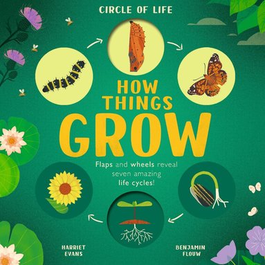 Harriet Evans - How Things Grow, Kartonnage