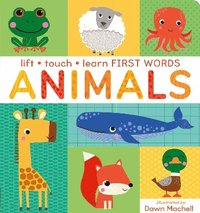 bokomslag Lift, Touch Learn First Words: Animals