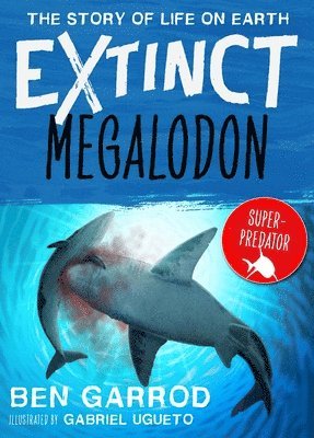 Megalodon 1