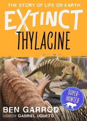 Thylacine 1