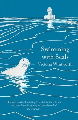 Swimming with Seals 1