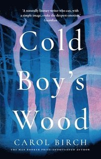 bokomslag Cold Boy's Wood