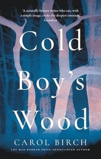 bokomslag Cold Boy's Wood