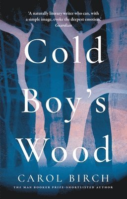 Cold Boy's Wood 1