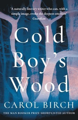 Cold Boy's Wood 1