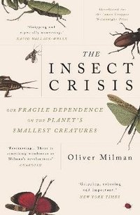 bokomslag Insect Crisis
