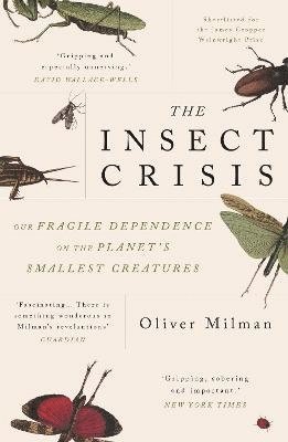 bokomslag Insect Crisis