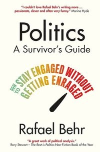 bokomslag Politics: A Survivors Guide