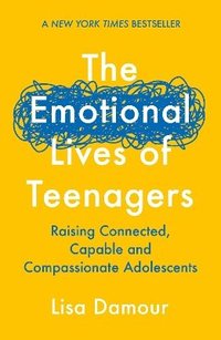bokomslag The Emotional Lives of Teenagers