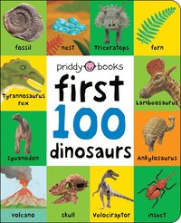 bokomslag First 100 Dinosaurs