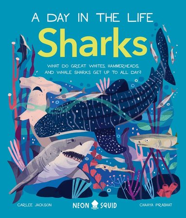 Carlee Jackson, Neon Squid - Sharks (A Day in the Life), Inbunden