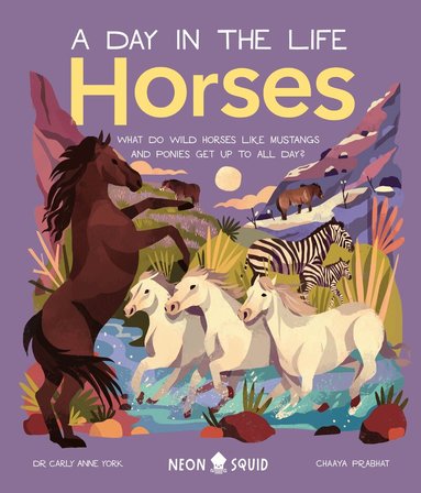 Carly Anne York, Neon Squid - Horses (A Day in the Life), Inbunden