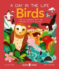 bokomslag Birds (A Day in the Life)