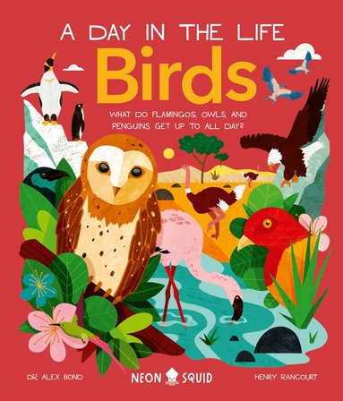 Alex Bond, Neon Squid - Birds (A Day in the Life), Inbunden