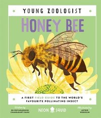 bokomslag Honey Bee (Young Zoologist)