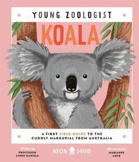 bokomslag Koala (Young Zoologist)