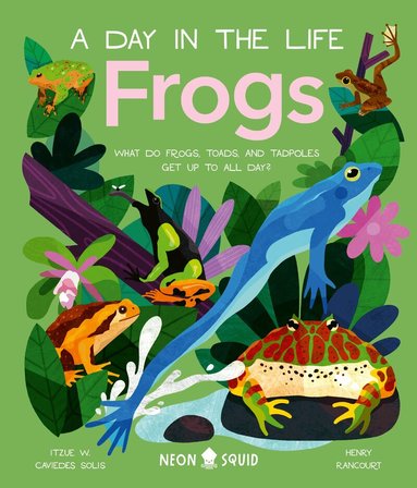Itzue W. Caviedes-Solis, Neon Squid - Frogs (A Day in the Life), Inbunden