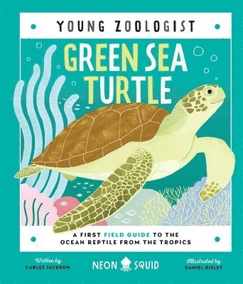 bokomslag Green Sea Turtle (Young Zoologist)