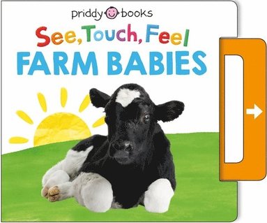 bokomslag See, Touch, Feel: Farm Babies
