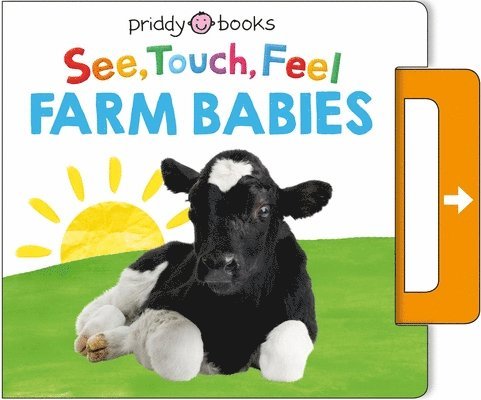 See, Touch, Feel: Farm Babies 1