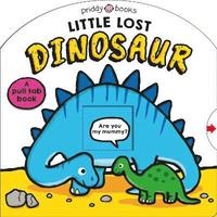 bokomslag Little Lost Dinosaur